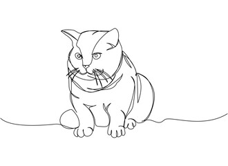 Scottish Fold Cat one line art. Continuous line drawing of pet, mammal, kitten, purebred, breed, friendship, kitty, friend, pedigree, character.