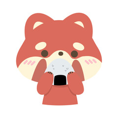 red panda eating food.