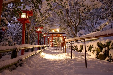 White torii