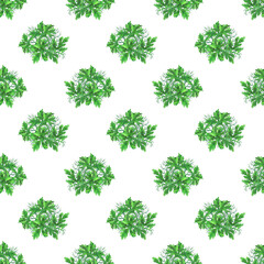 A pattern of spicy herbs drawn with colored pencils on a white background.