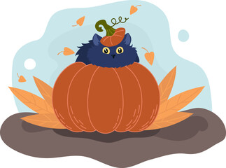 Black cute  cat in a Halloween pumpkin. Autumn poster vector illustration
