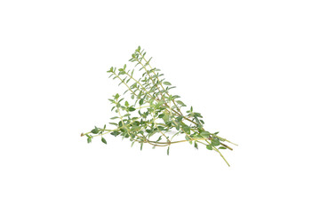 Thyme herb isolated on a white background.