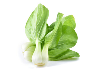 Bok choy (chinese cabbage) isolated on white background.