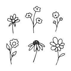 Simple hand drawn black outline vector illustration. A set of flowers on the stem, chamomile, field herbs. Floral elements for various decor products.