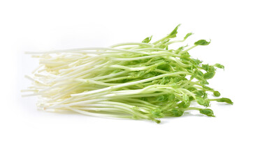 snow pea sprouts on white background