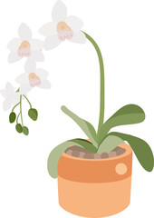 white orchid flower pot plant collection flat style