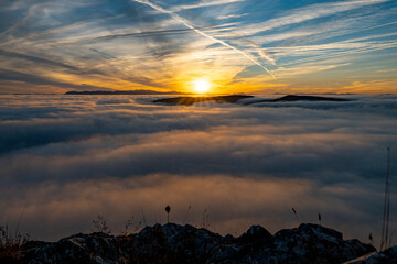 Amanecer entre la niebla