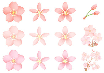 桜 さくら サクラ 花びら つぼみ 素材 PNG