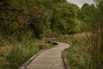 Obraz premium Boardwalk along the Appalachian Trail in New Jersey
