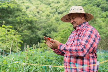 Fototapeta premium Happy worker with a cell phone standing in a field