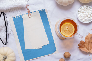 Blank sheet of paper and autumn cozy decor top view. Copy space for autumn text