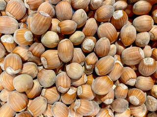 Hazelnut in the husk close-up. Hazelnut background.