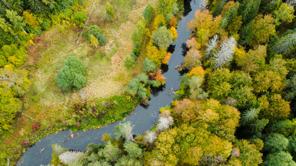 forest and river at sunset in autumn. Aerial view of wildlife in Latvia, Europe