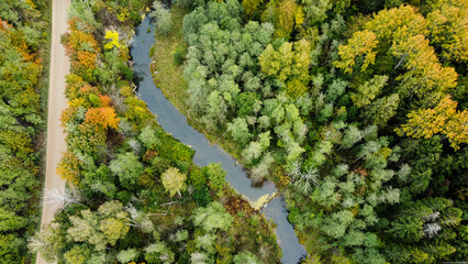 forest and river at sunset in autumn. Aerial view of wildlife in Latvia, Europe