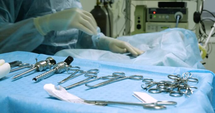 In surgery, the operating team prepares the animal for surgery. Cover with the operating field. On the table are surgical instruments clamps, scalpel, scissors. Veterinary concept.