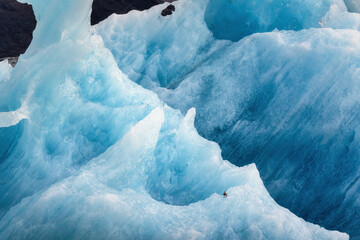 Surface of iceberg melting in glacier and bird perching in Atlantic ocean