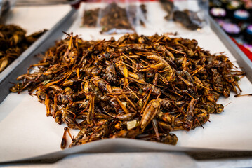 Close up of fried grasshoppers at a street market in Thailand
