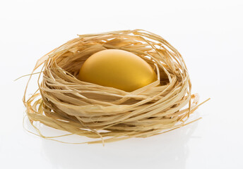 One golden egg in the nest