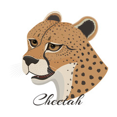 vector illustration with cheetah animal