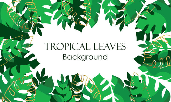 Tropical Decorated with gold lines and white background. Cards background with palm leaves, banana leaves, and monstera. Shameless pattern tropical leaves for decoration. Summer iconic tropical island