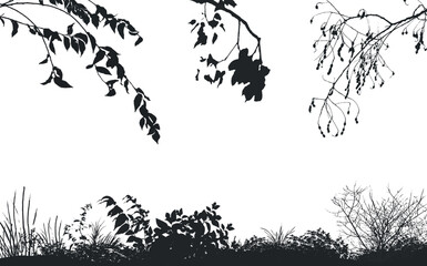 Vector background of realistic branches, a silhouette of bare dry twigs,bushes and withering autumn nature.