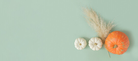 Autumn composition. Green desk with pumpkins and dried pampas grass. Flat lay, top view, copy...