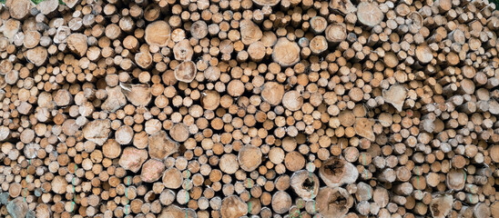 Stack of felled tree trunks at a logging site, natural wooden background