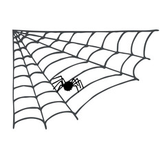 Simple hand drawn spider web illustration. Cute gossamer clipart. Halloween doodle for print, web, design, decor, logo