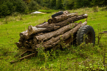 Fototapeta na wymiar an old iron cart with freshly cut firewood