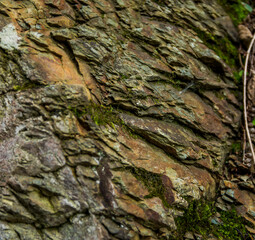 close-up of a stone texture