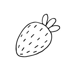 Strawberry. Wild berry. Healthy natural food. Vitamins. Vegetarian. Vector. Doodle. Hand-drawn illustration. Sketch. Silhouette. Black and white. Contour. Coloring