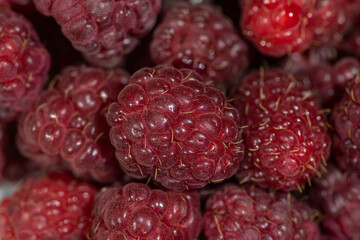 ripe raspberries large