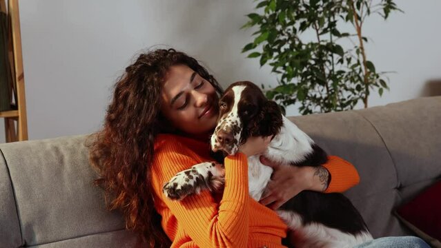 Shot of young happy smiling woman is playing with affection her lovely English springer spaniel dog, while having fun together on carpet in living room at home. Friendship, domestic animal