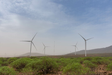 Obraz premium Landscape with desert plants and four big windmills 