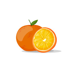 Fresh citrus and a slice on a white background. Vector illustration