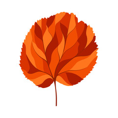 Autumn Linden Leaf