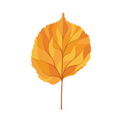 Autumn Linden Leaf