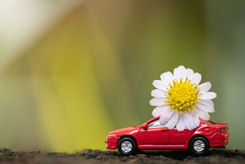 Red toy car and daisy flower on nature background.