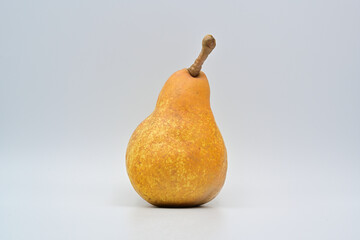 西洋梨