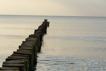 Fototapeta premium Seagulls perched on a wooden breakwater with the sea in the background.
