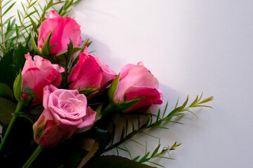 ピンク色に薔薇