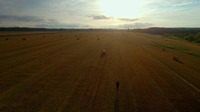 Man with a backpack walks through a harvested field towards the sunset. Optimistic mood from the warm rays of the sun on a backpacking trip. Rural aerial view