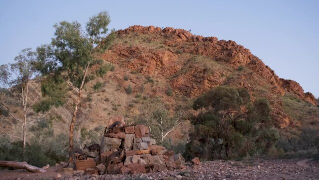Wilderness landscape, Group of Wallabies standing on rocks, Rugged mountain in Background. Australia