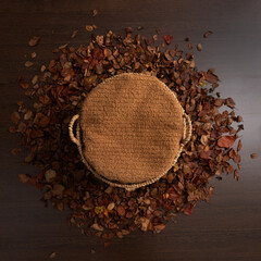 Digital newborn  baby background with autumn leaves