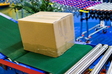 Box on packaging line in factory