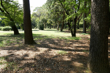 公園の風景
