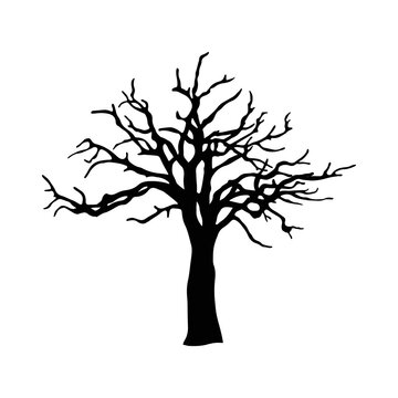 silhouette of a tree isolated. Isolated Dead tree on the white background. Dead tree silhouettes. 