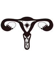 Uterus Design