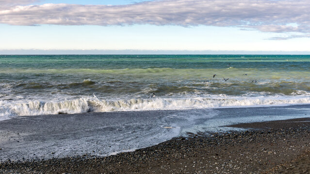 Autumn Surf On The Black Sea With Seagulls