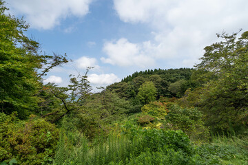 古和秀水